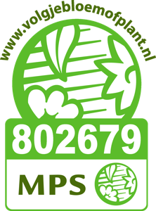 MPS-vignet