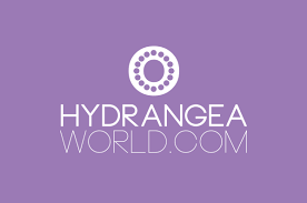 Hydrangea World