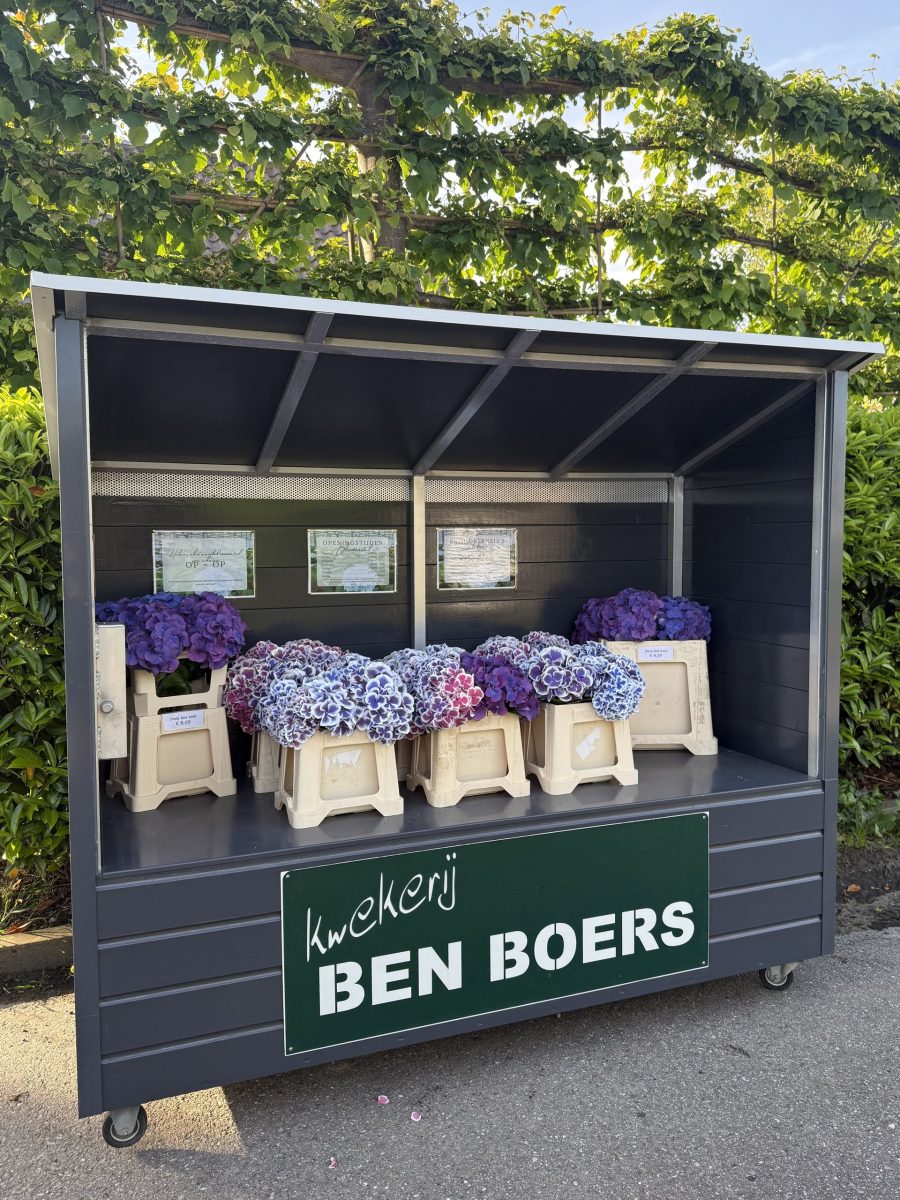 De bloemenstal van Kwekerij Ben Boers aan de Naaldwijkseweg